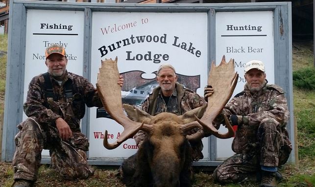 The Health Benefits Of Eating Moose Burntwood Lake Lodge