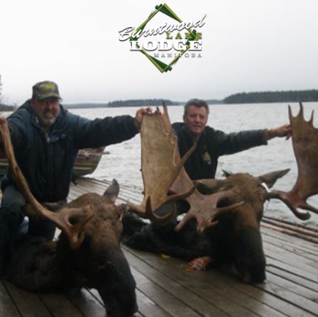 Moose Hunting 