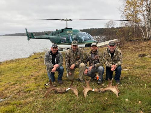 Moose caught at dow lake